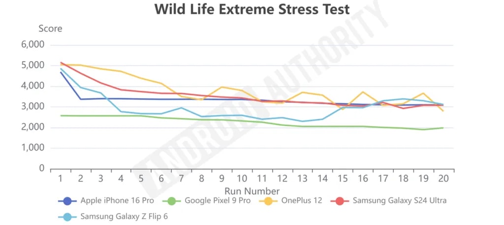 تست وایلد لایف