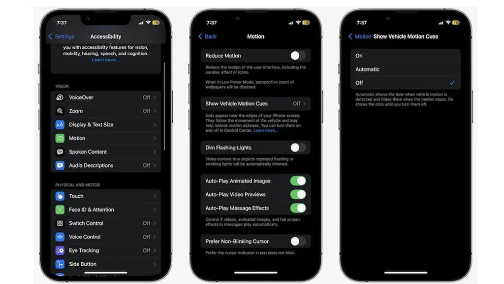 iPhone Accessibility Features