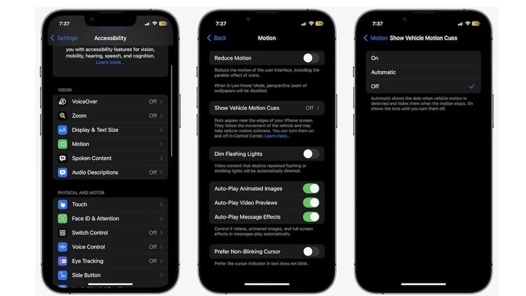 iPhone Accessibility Features
