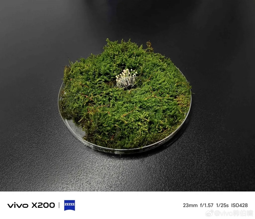 نمونه تصویر دوربین اصلی ویوو X200