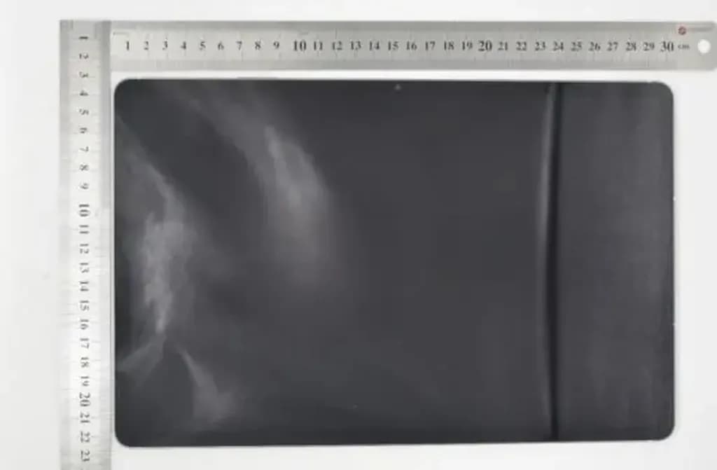 تصویر واقعی گلکسی Tab S10 FE Plus