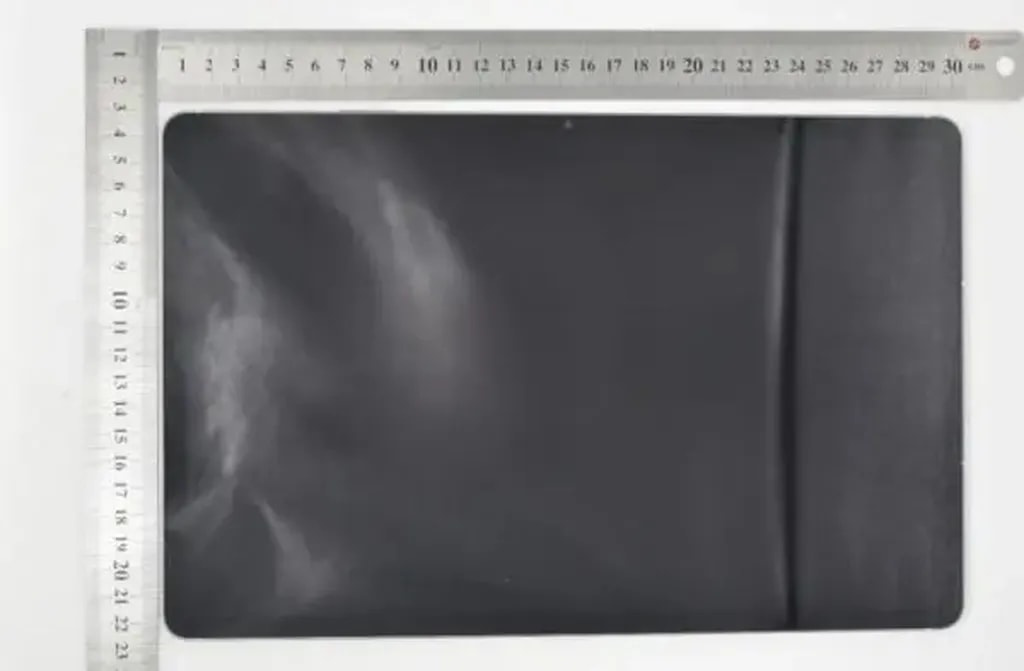 تصویر واقعی گلکسی Tab S10 FE Plus