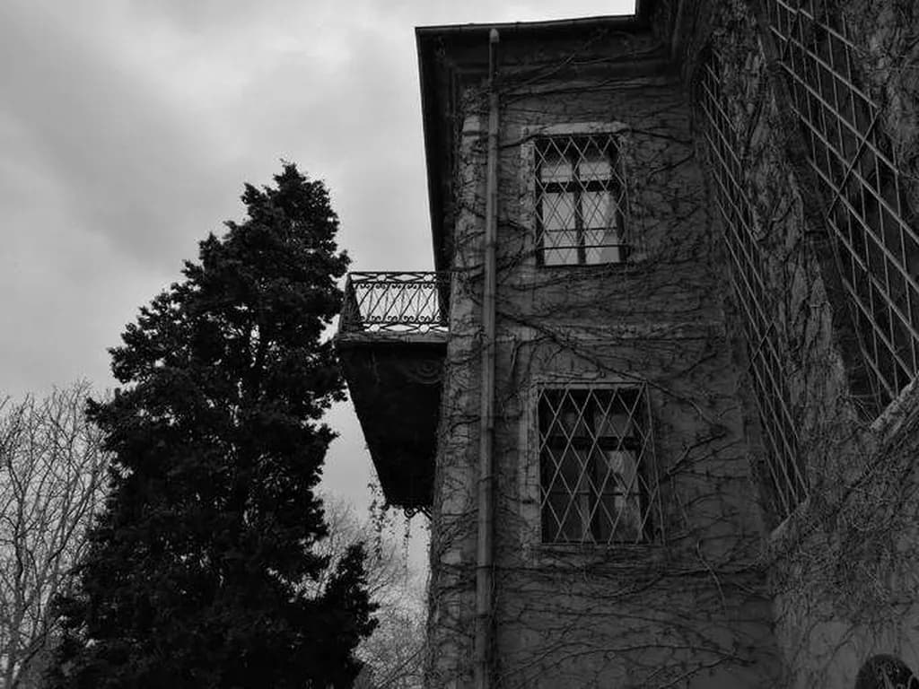 نمونه تصویر کرفته شده با دوربین هوآوی پی 10 در حالت تک رنگ