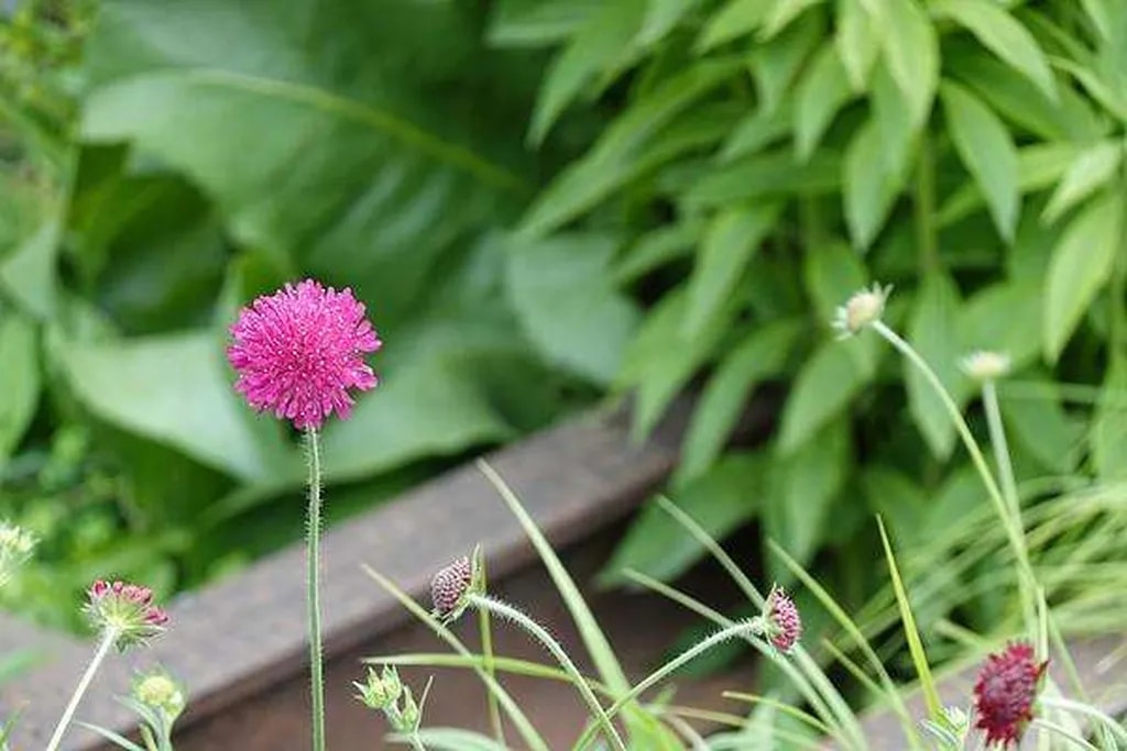 نمونه تصویر ثبت شده توسط دوربین Sony Cyber-shot RX100 VI