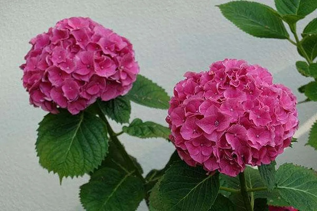 نمونه تصویر ثبت شده توسط دوربین Sony Cyber-shot RX100 VI