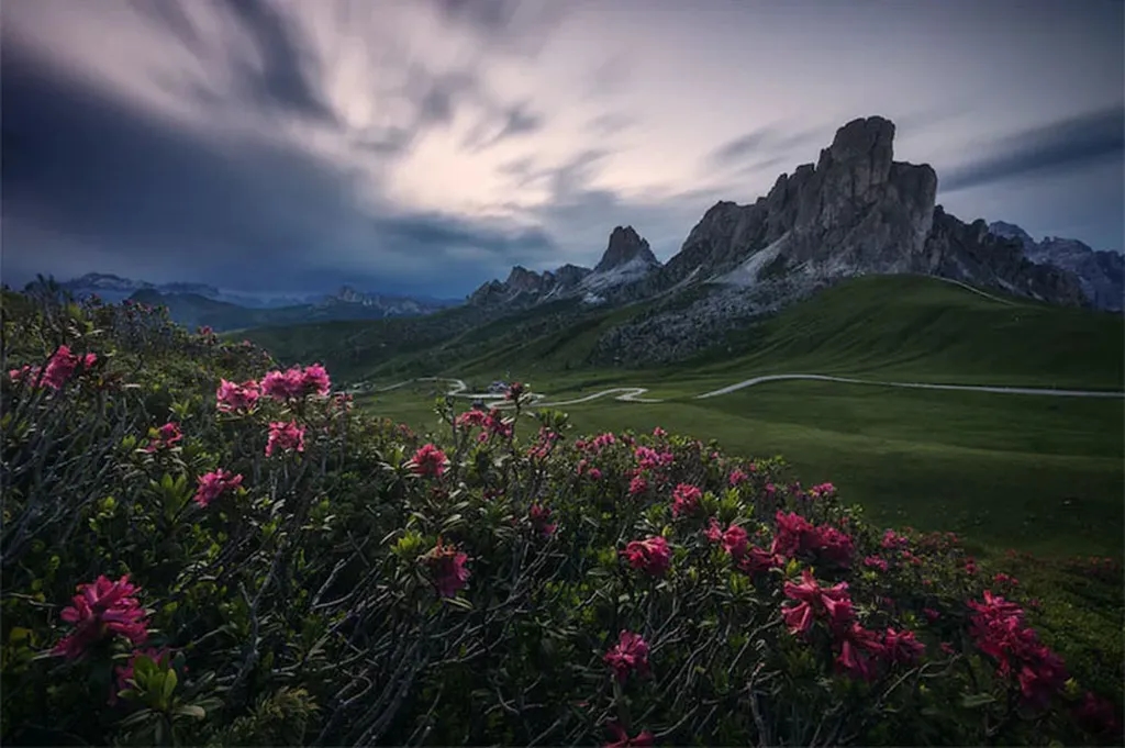 تعادل بصری در عکاسی چیست؟