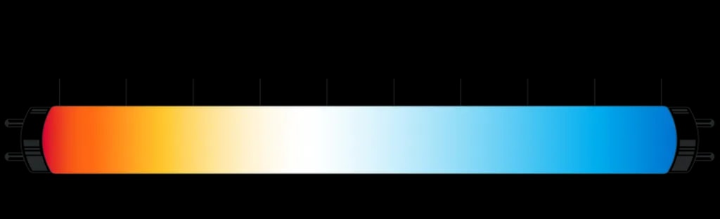 تصویر 3. رنگهای سرد دمای کلوین بیشتری دارند و رنگهای گرم دمای کلوینشان کمتر است.