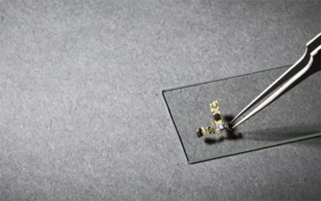 تصویر 3. قسمت الکترونیکی قاصدک مصنوعی حاوی چند حسگر، یک خازن و یک ریزهدایتگر (میکروکنترلر) است. خازن، طی شب شارژ نگه میدارد و ریزهدایتگر قطعه را راهبری میکند. تمام این اجزا درون مدار الکترونیکی نرم و انعطافپذیری جای گرفتهاند که در این تصویر پیداست. (عکس از: مارک استون / دانشگاه واشنگتن؛ تصویر اندکی ویرایش شده است.)