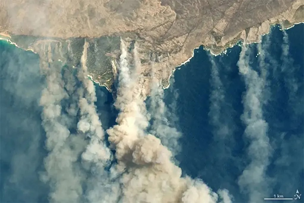 تصویری ماهوارهای از سوختن پوشش گیاهی جزیره کانگورو در استرالیا. در آتشسوزی بزرگ جنگلهای استرالیا طی سالهای 2019 و 2020 میلادی 28 نفر جان خود را از دست دادند. طبق برآوردها بیش از 1.25 میلیارد جانور، مستقیم یا غیرمستقیم در اثر این حریق جان باختند.