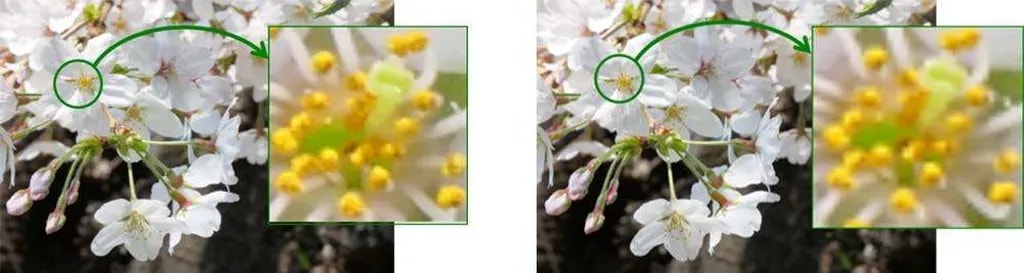 شکل 1. مقایسه تصاویر ریزنمایشگرهای OLED سونی: ریز نمایشگر جدید (سمت چپ) و ریزنمایشگر پیشین (سمت راست)