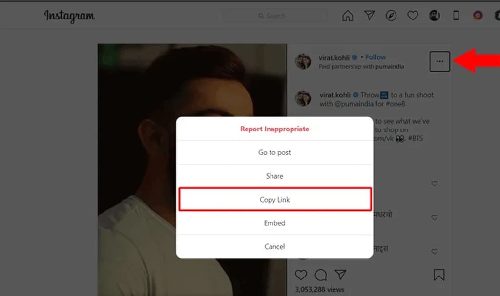 دانلود ریلز اینستاگرام با استفاده از وبسایت