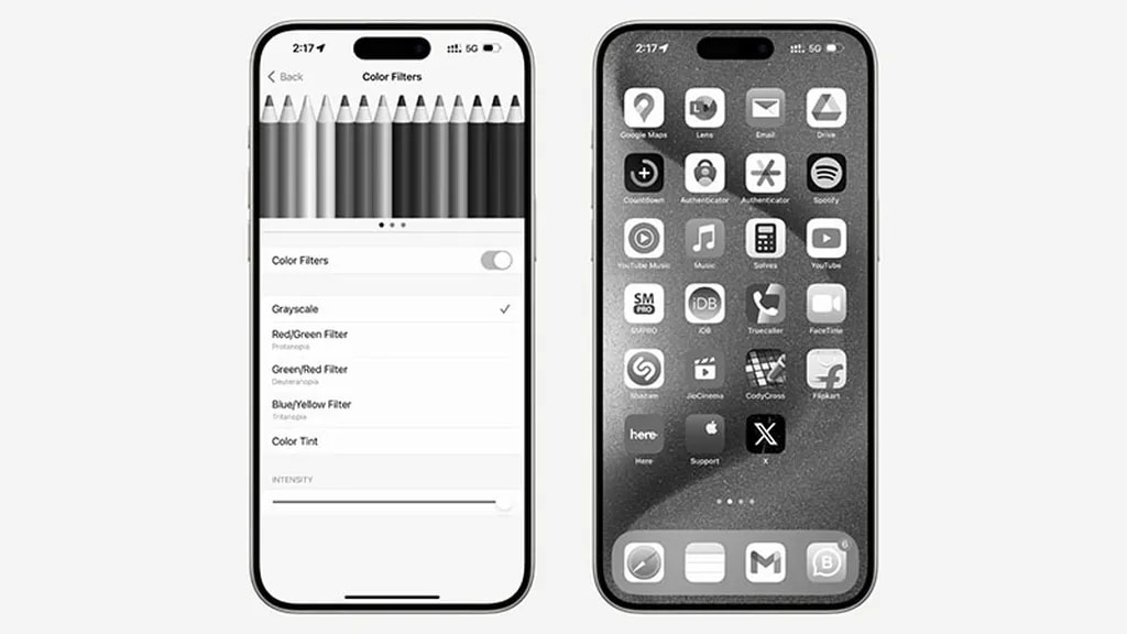 6-Grayscale-Color-Filter-on-iPhone.jpeg