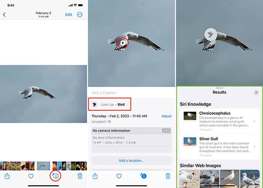 شناسایی افراد و حیوانات
