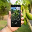 وانپلاس نورد N20 5G-6