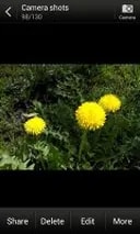 Description: HTC One V