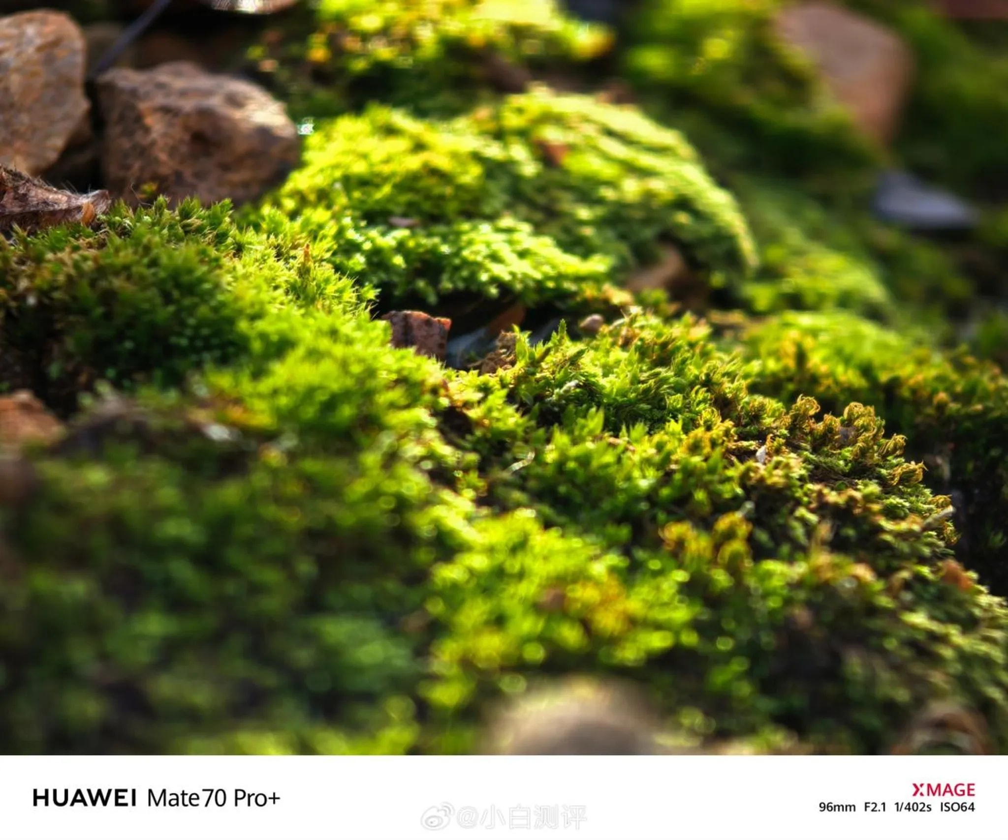 نمونه تصویر گرفته شده با Mate 70 pro plus