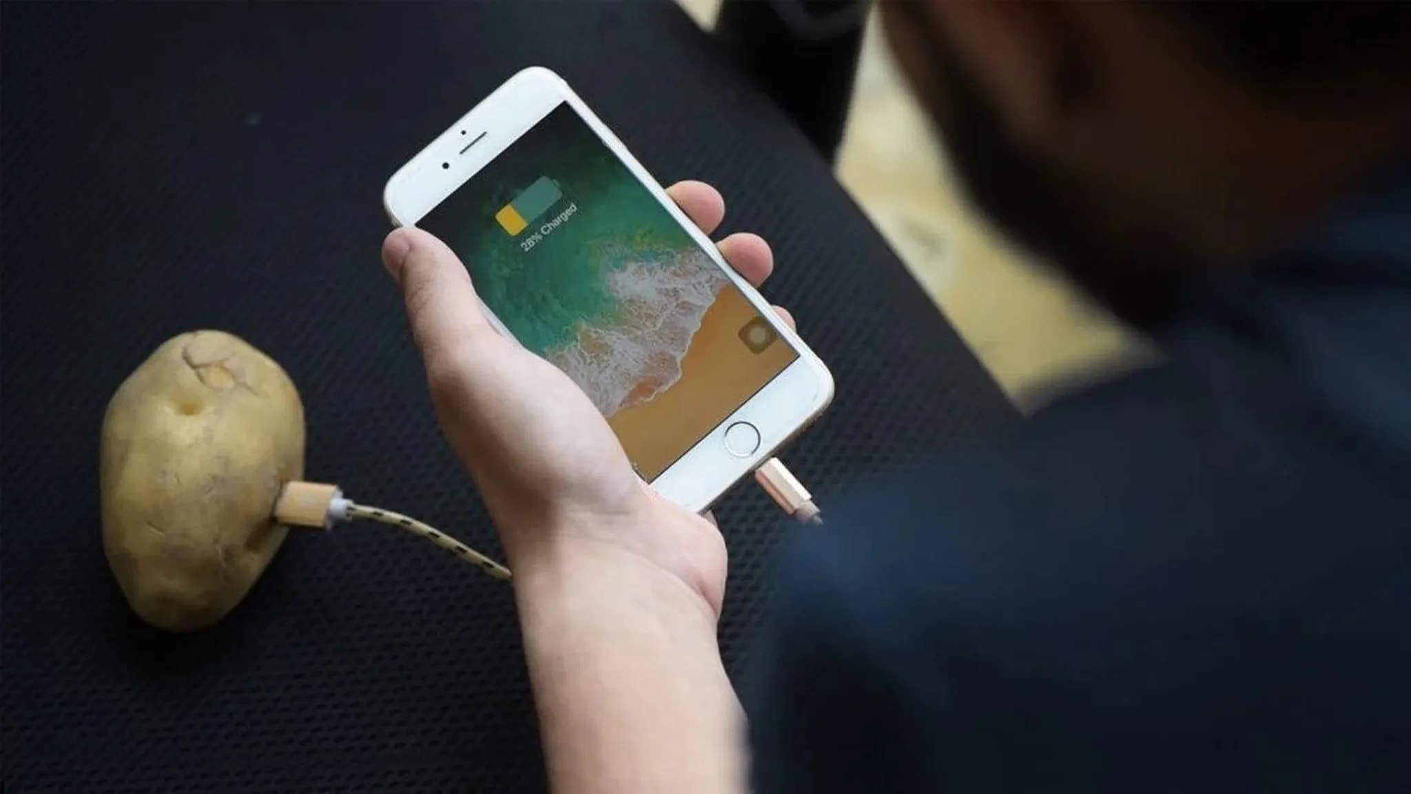 شارژ کردن گوشی با سیبزمینی؛ واقعیت یا شایعه؟