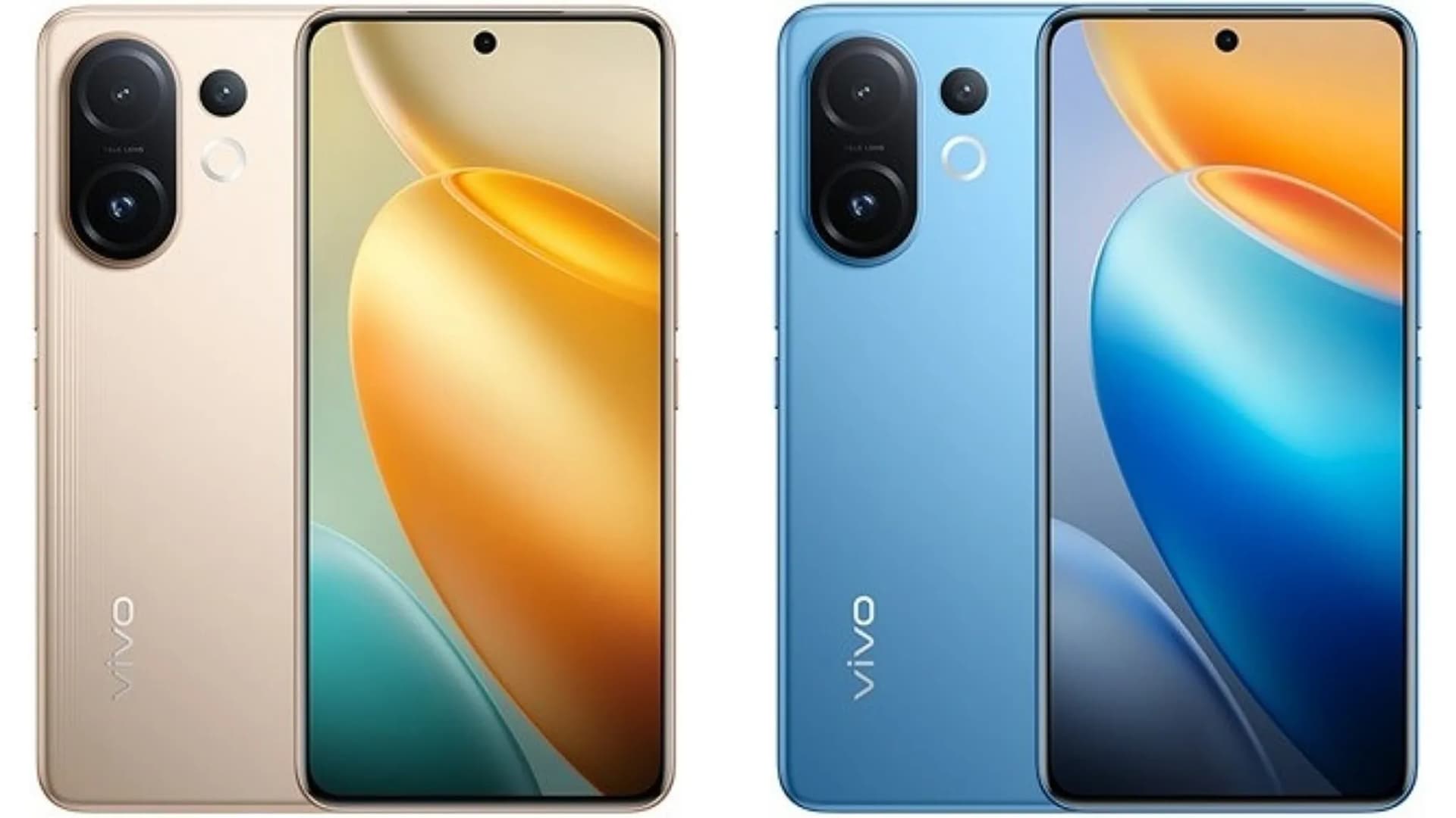 vivo 2.jpeg