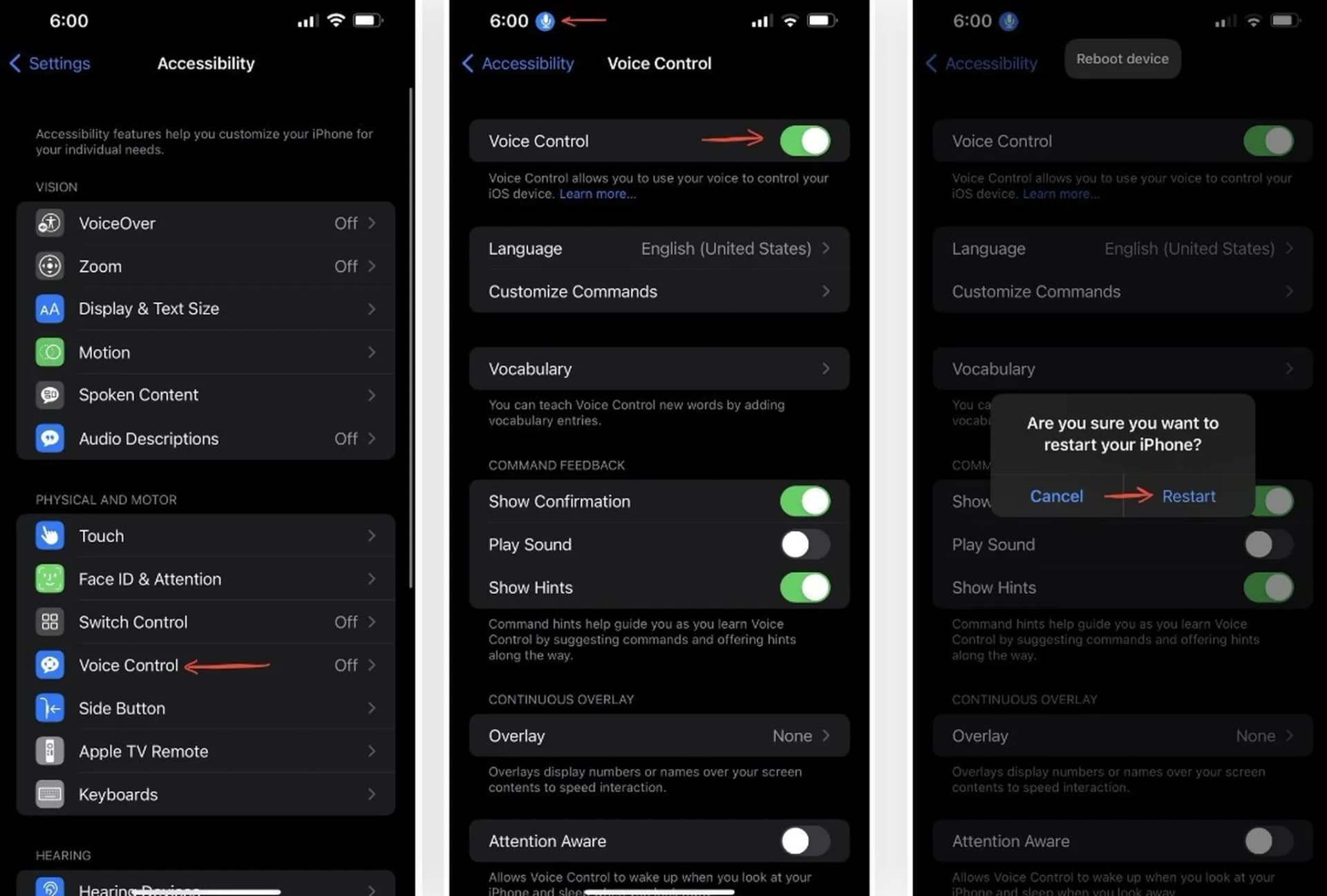 ریاستارت آیفون ۱۳ با وُیس کنترل (Voice Control)