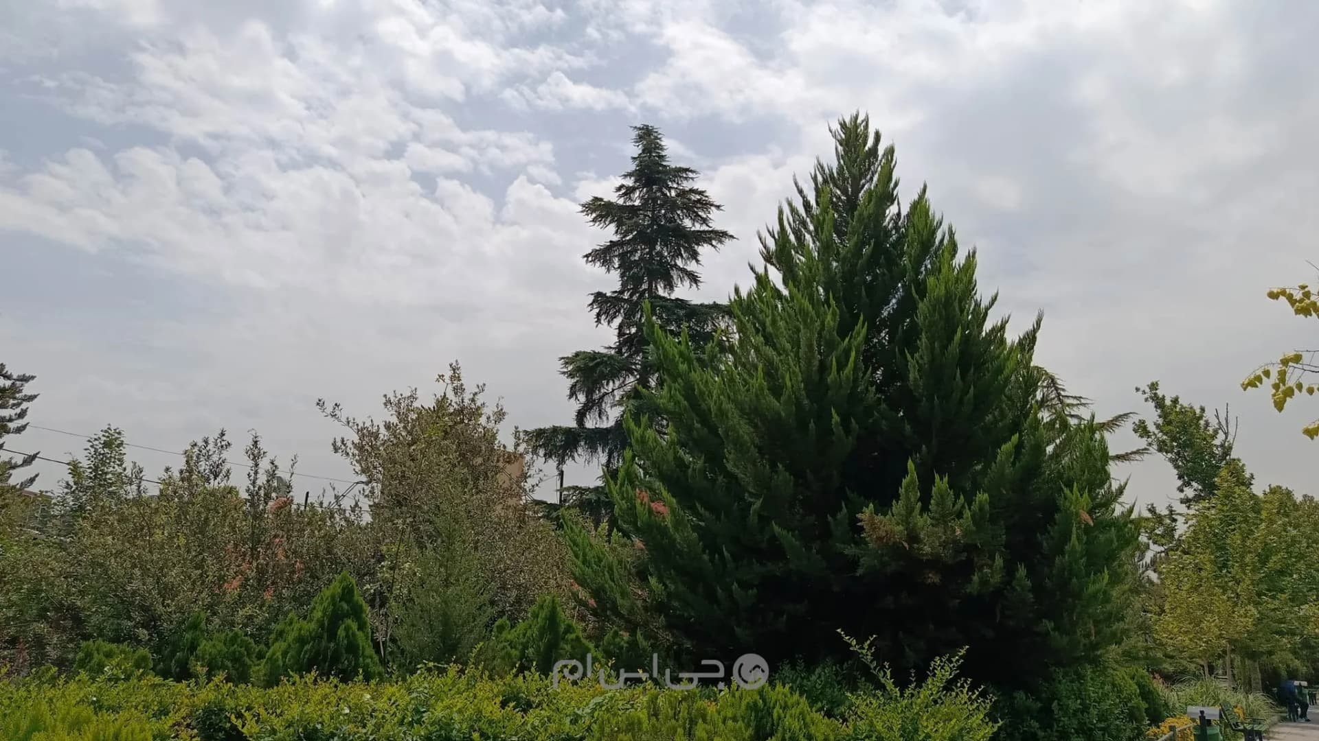 دوربین اصلی گوشی شیائومی ردمی نوت ۱۴