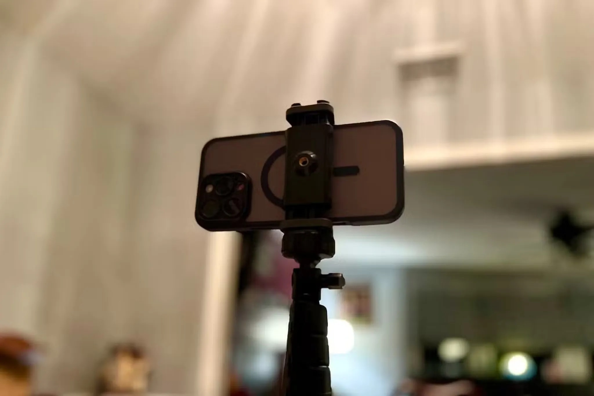 تثبیتکننده طبیعی