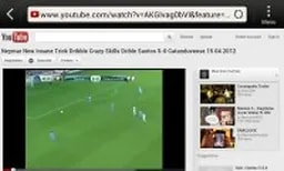 Description: HTC One V