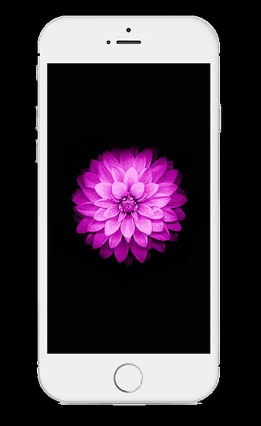 اپل آیفون 6 پلاس-4