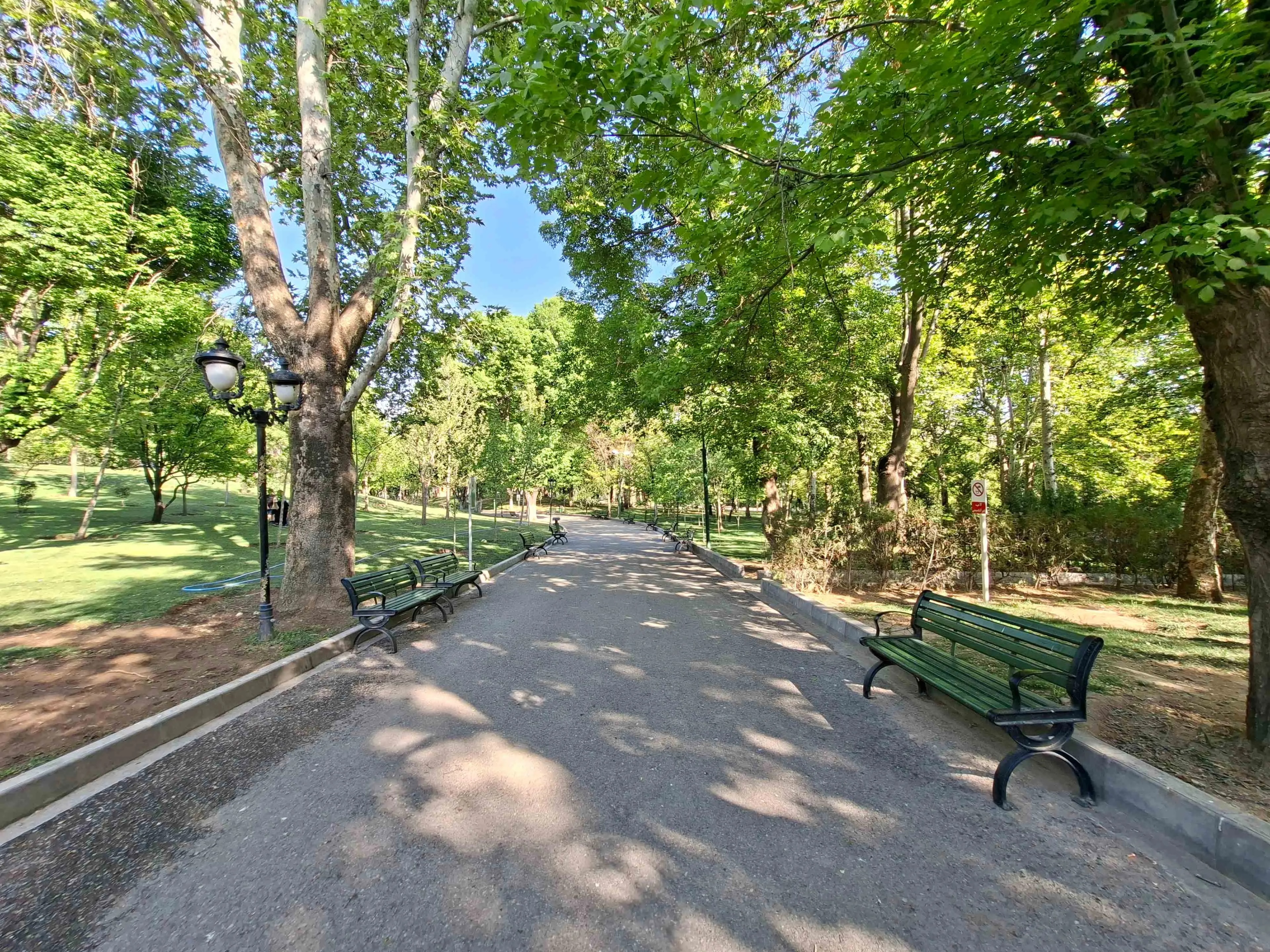 دوربین اولتراواید Galaxy A56