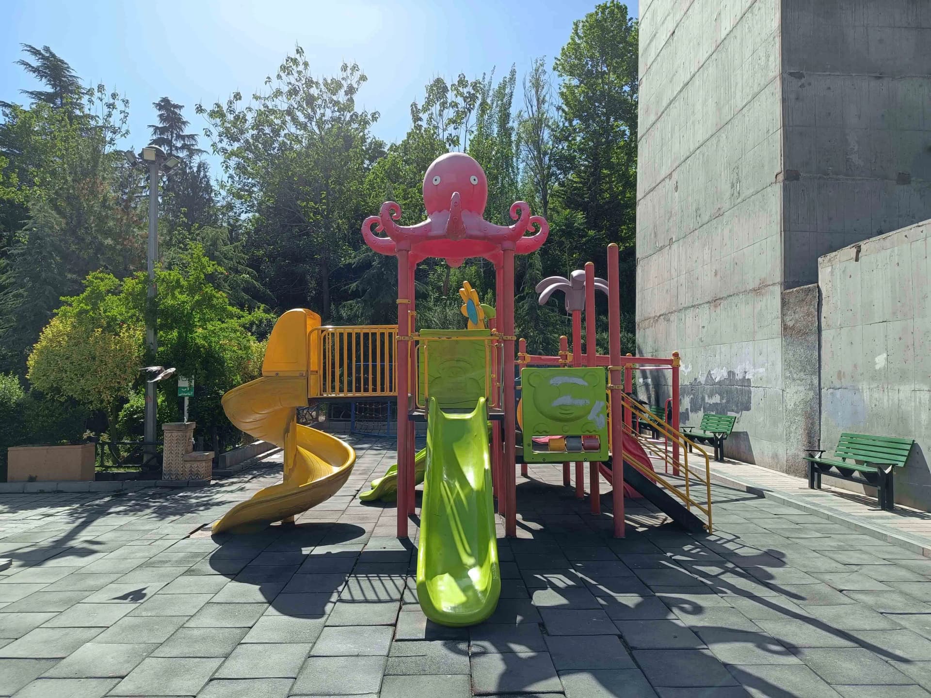 دوربین اصلی گوشی داریا باند ۲ لایت