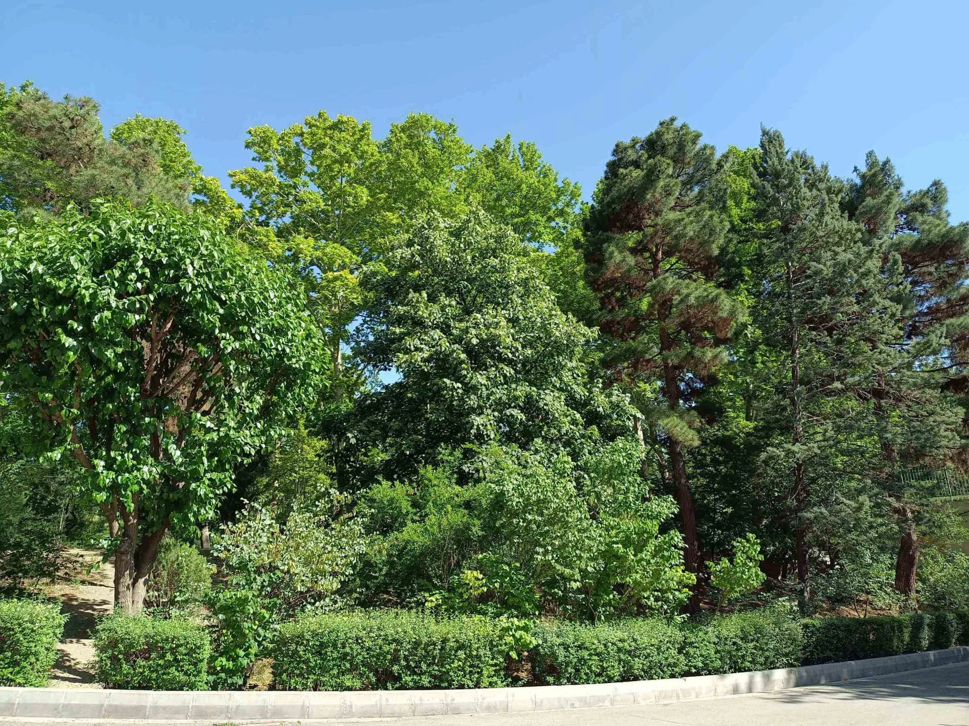 دوربین اولتراواید گوشی داریا باند ۲ لایت