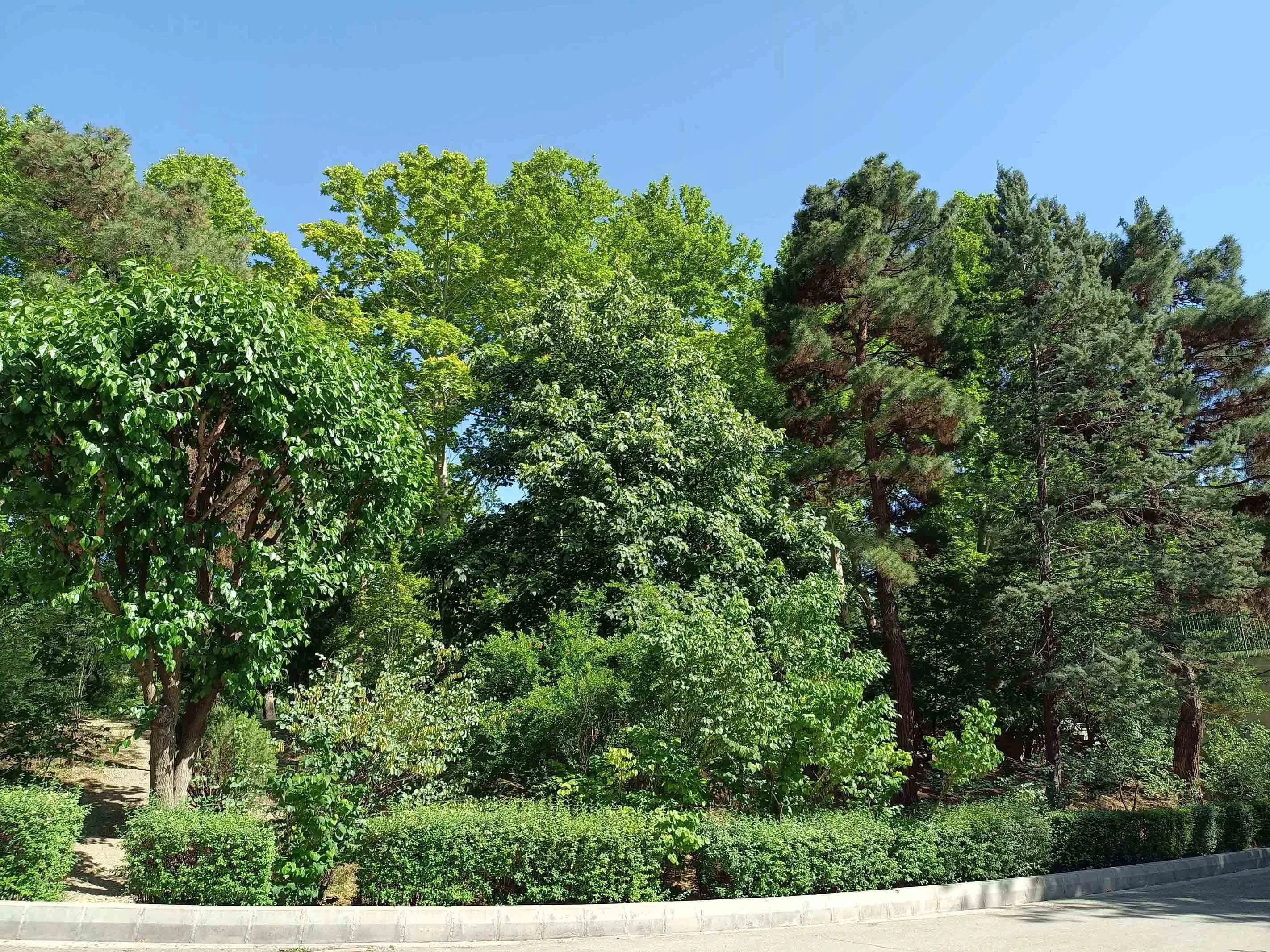 دوربین اولتراواید گوشی داریا باند ۲ لایت