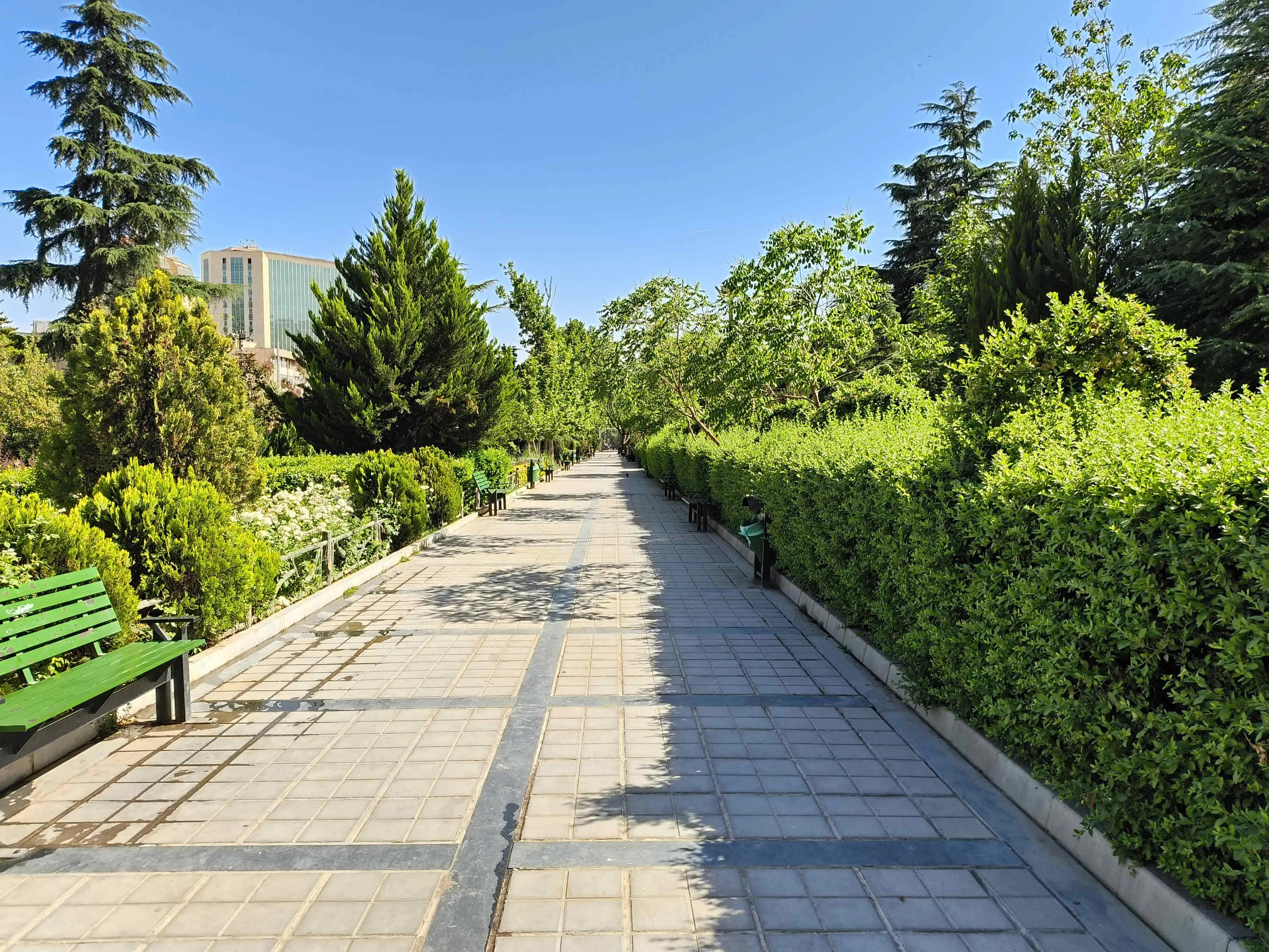 عکس دوربین اصلی گوشی داریا باند ۲-۲