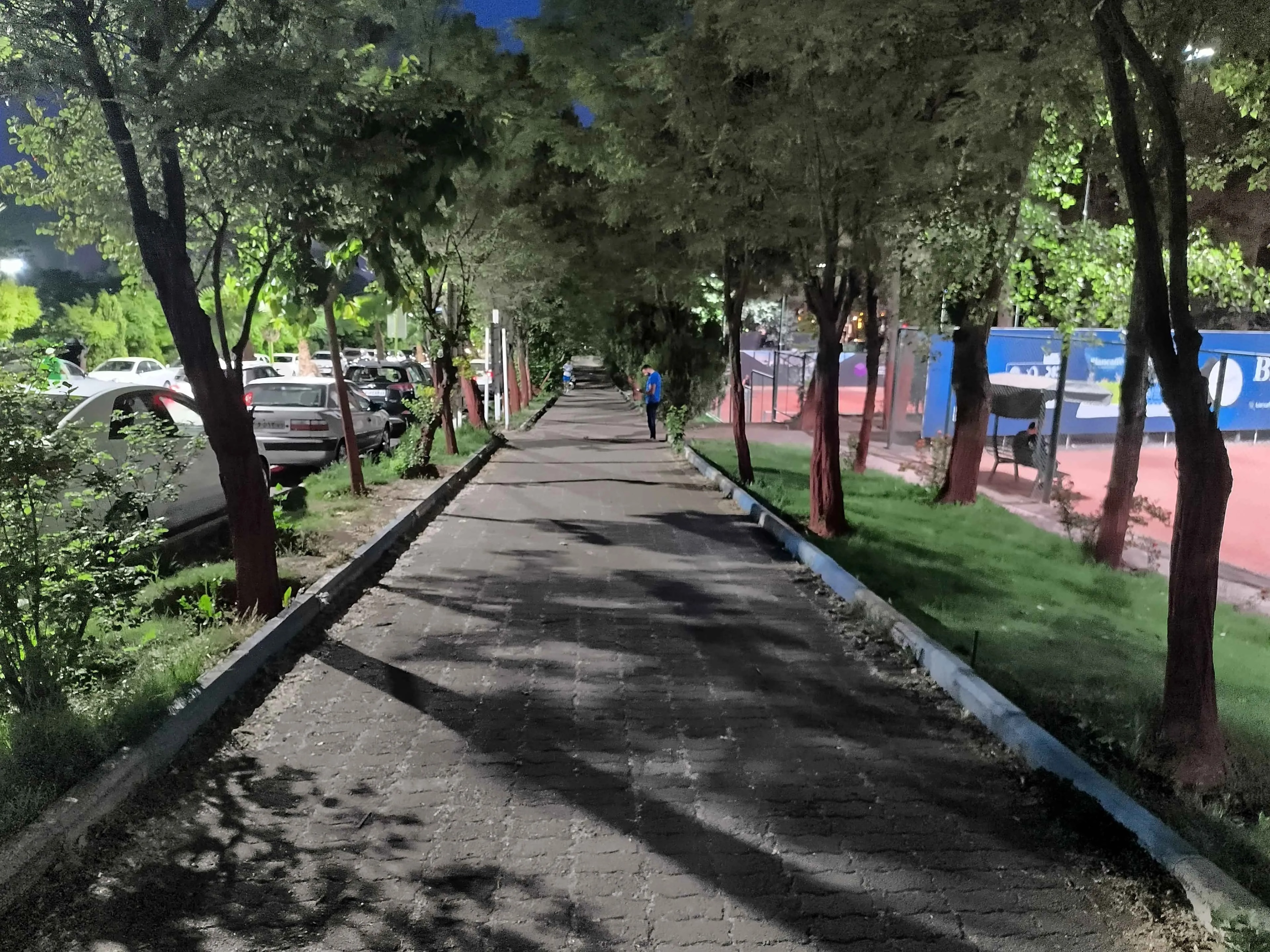 عکس شب دوربین اصلی گوشی داریا باند ۲-۲