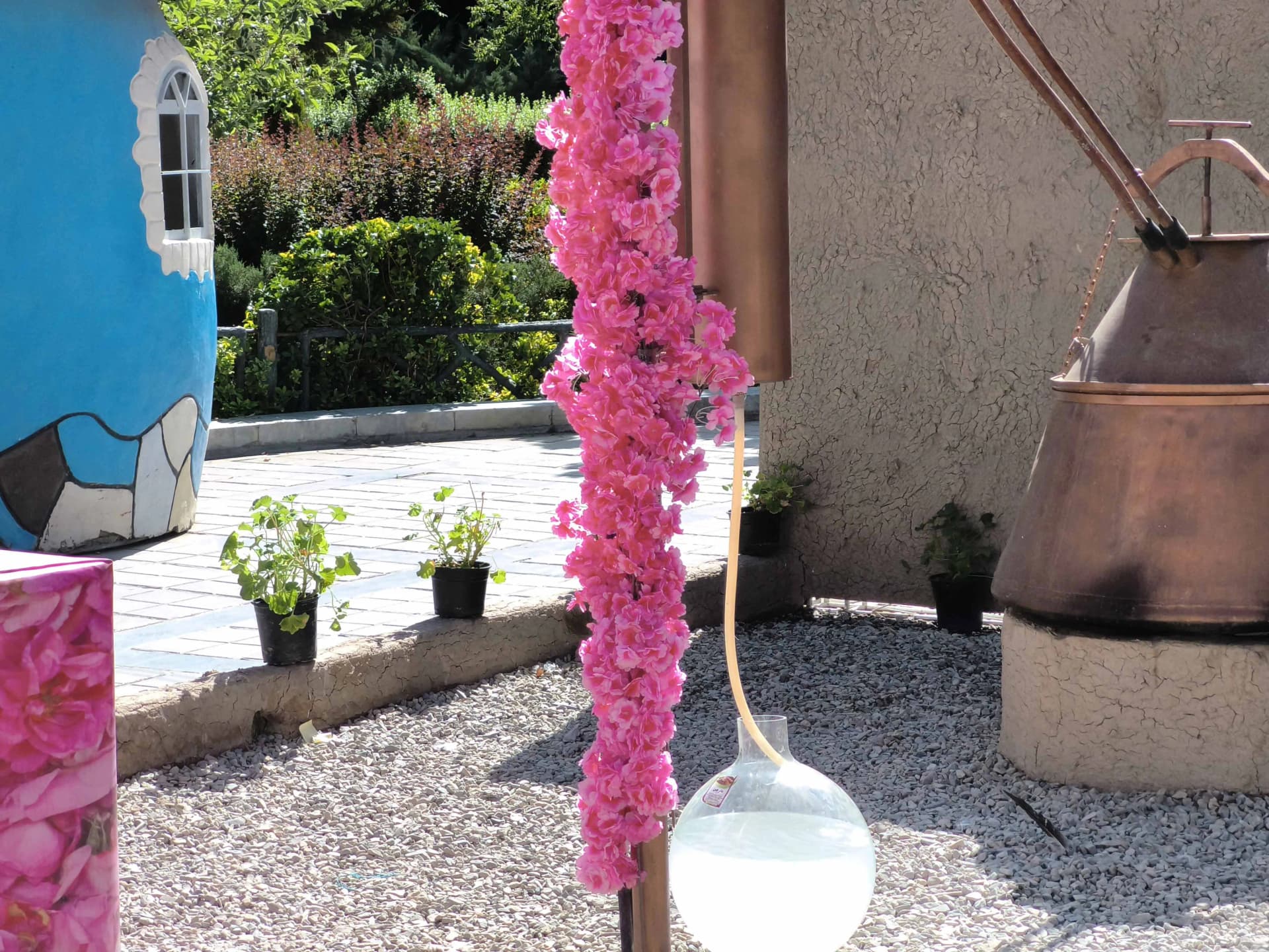 عکس دوربین تلهفوتو گوشی داریا باند ۲-۱