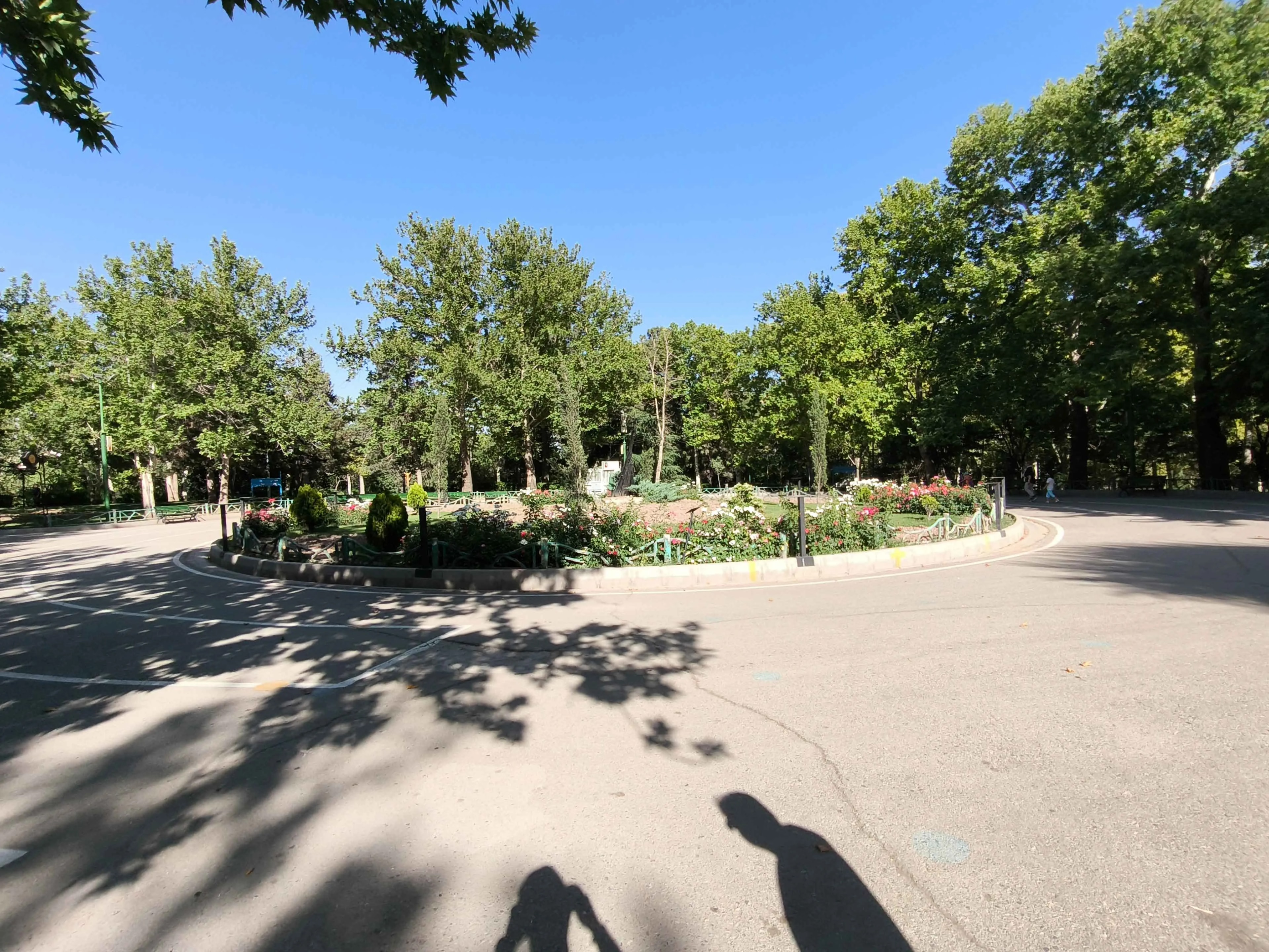 عکس دوربین اولتراواید گوشی داریا باند ۲-۲