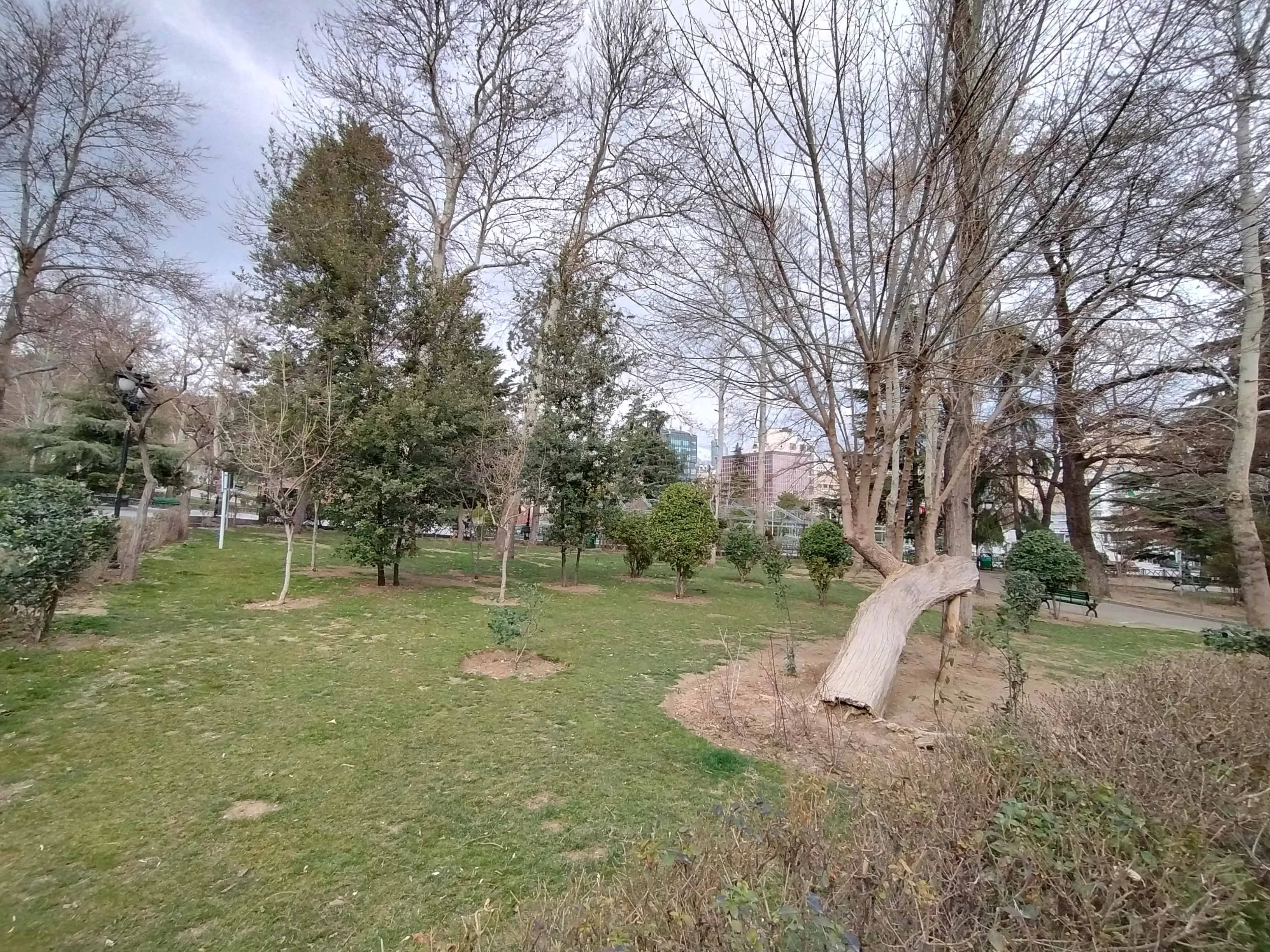 دوربین فوقعریض.jpg