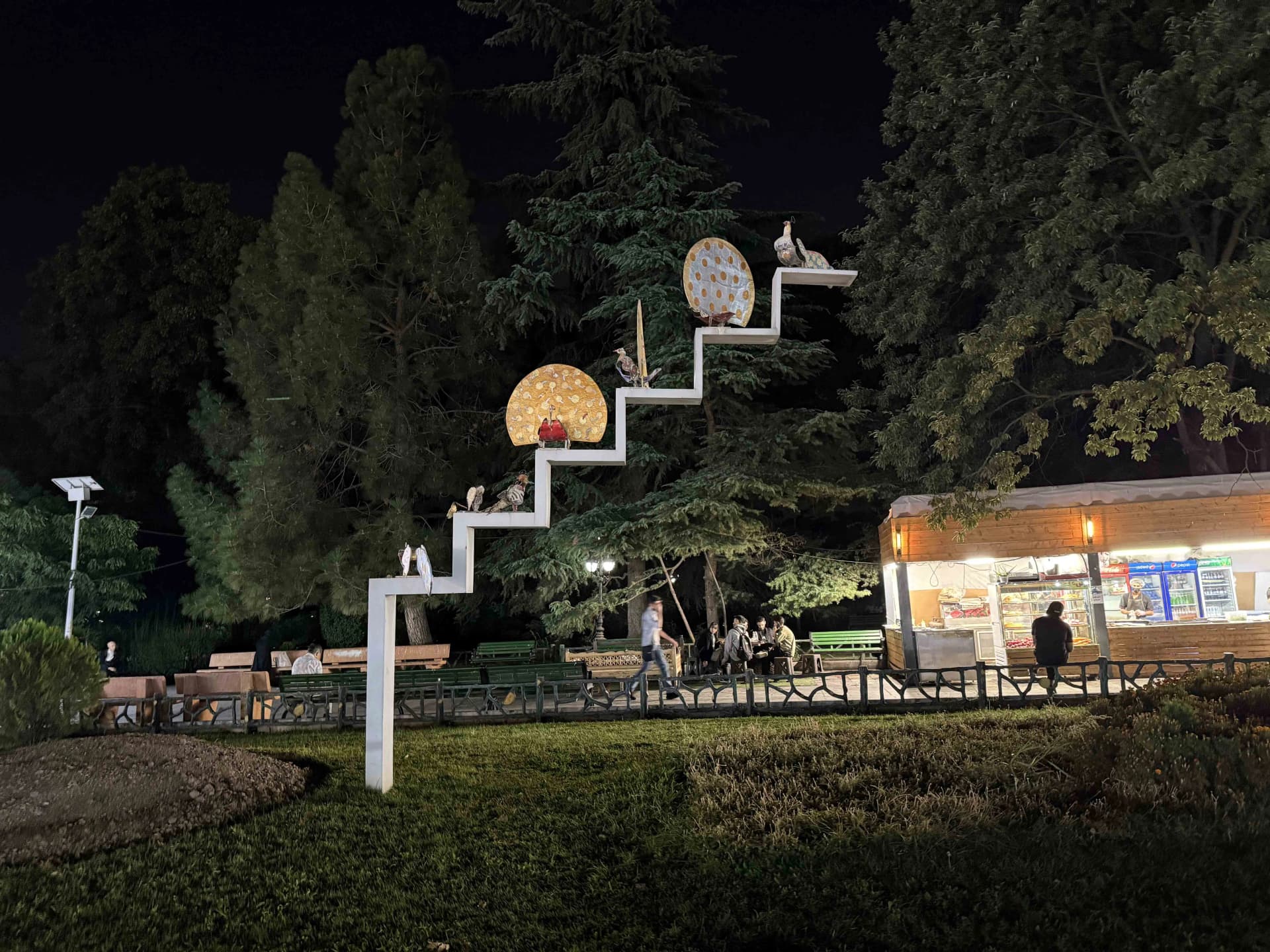 دوربین iPhone 16 Pro Max در شب