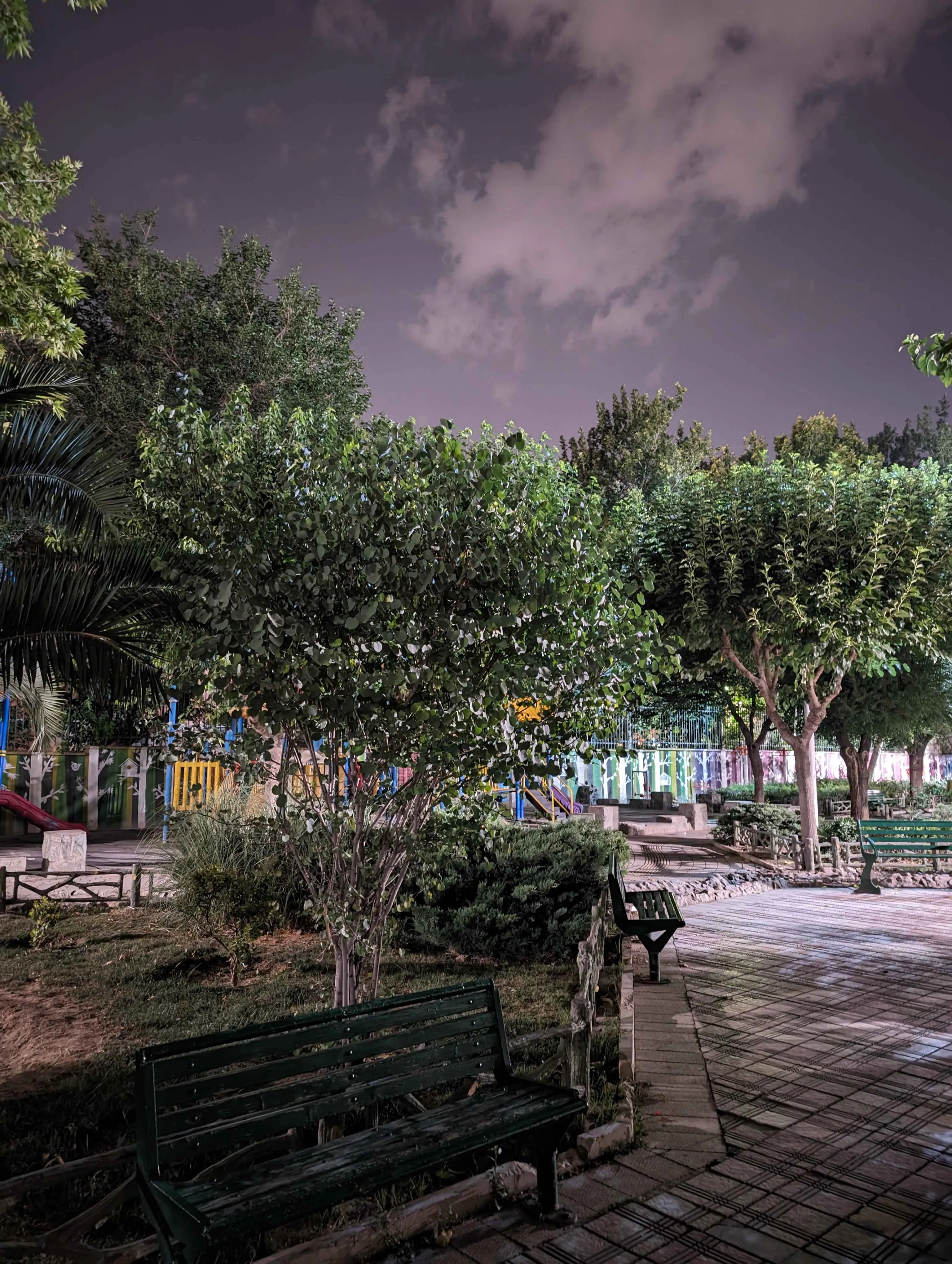 pixel night 1 copy.jpg