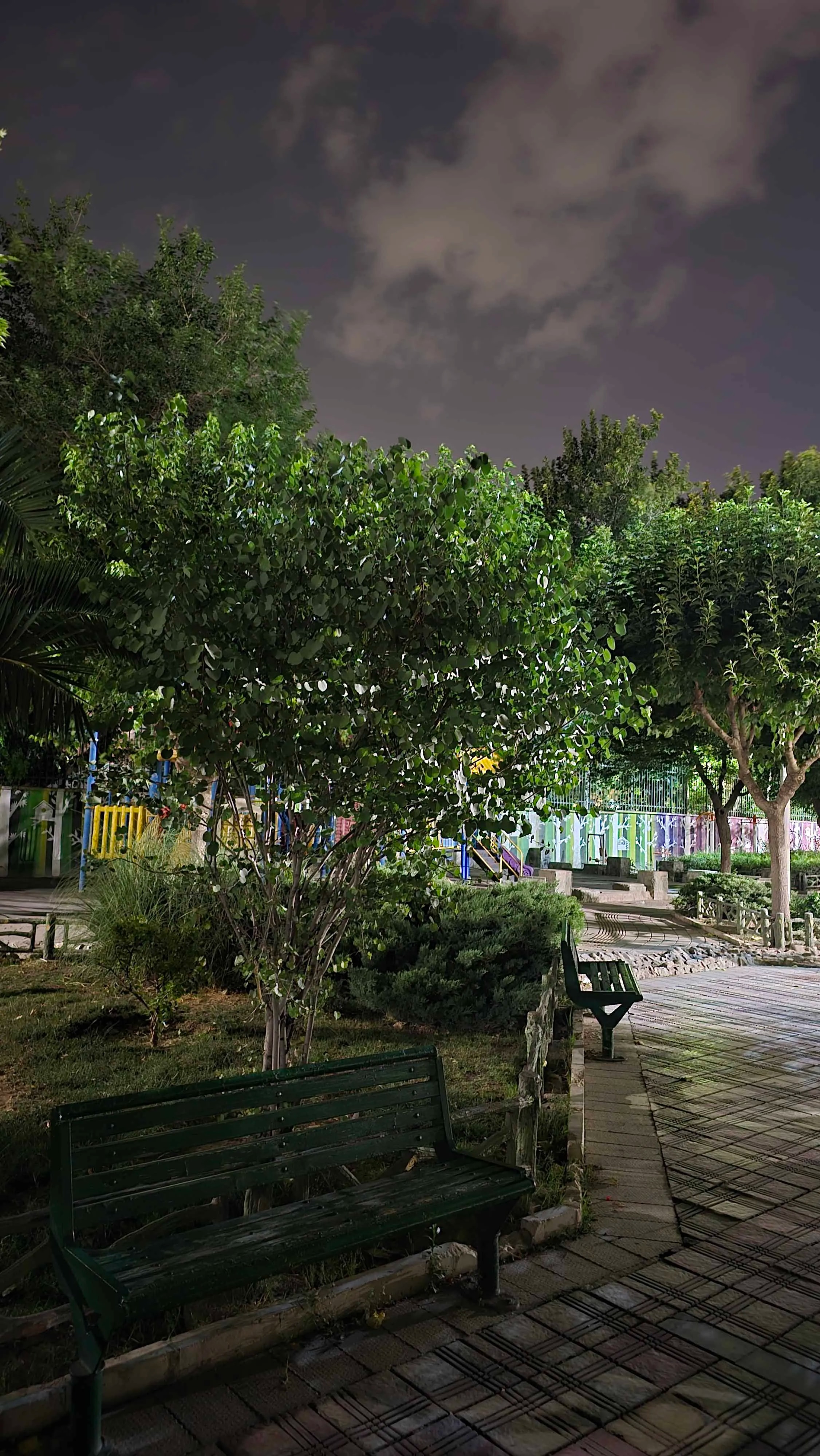 samsung night 1 copy.jpg