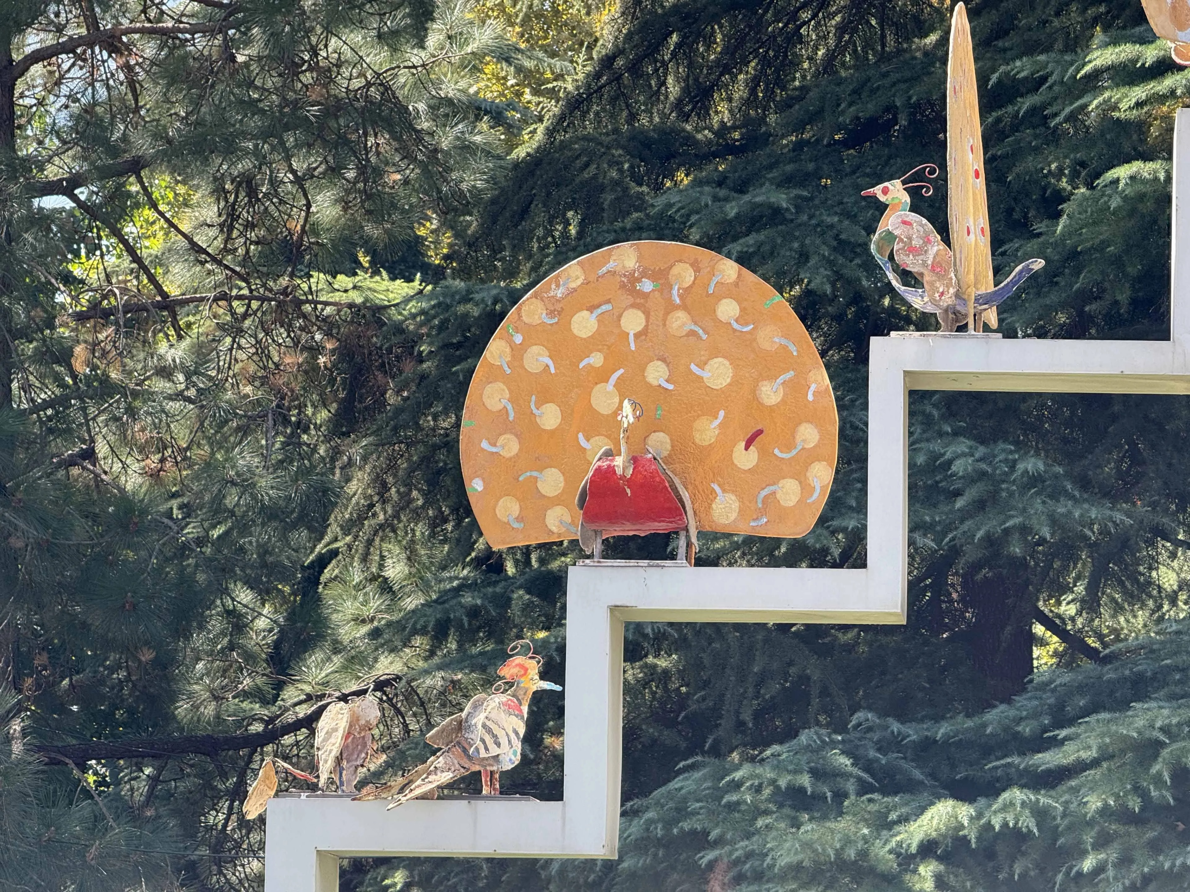 عکس گرفته شده با دوربین تلهفوتو زوم ۵ برابر