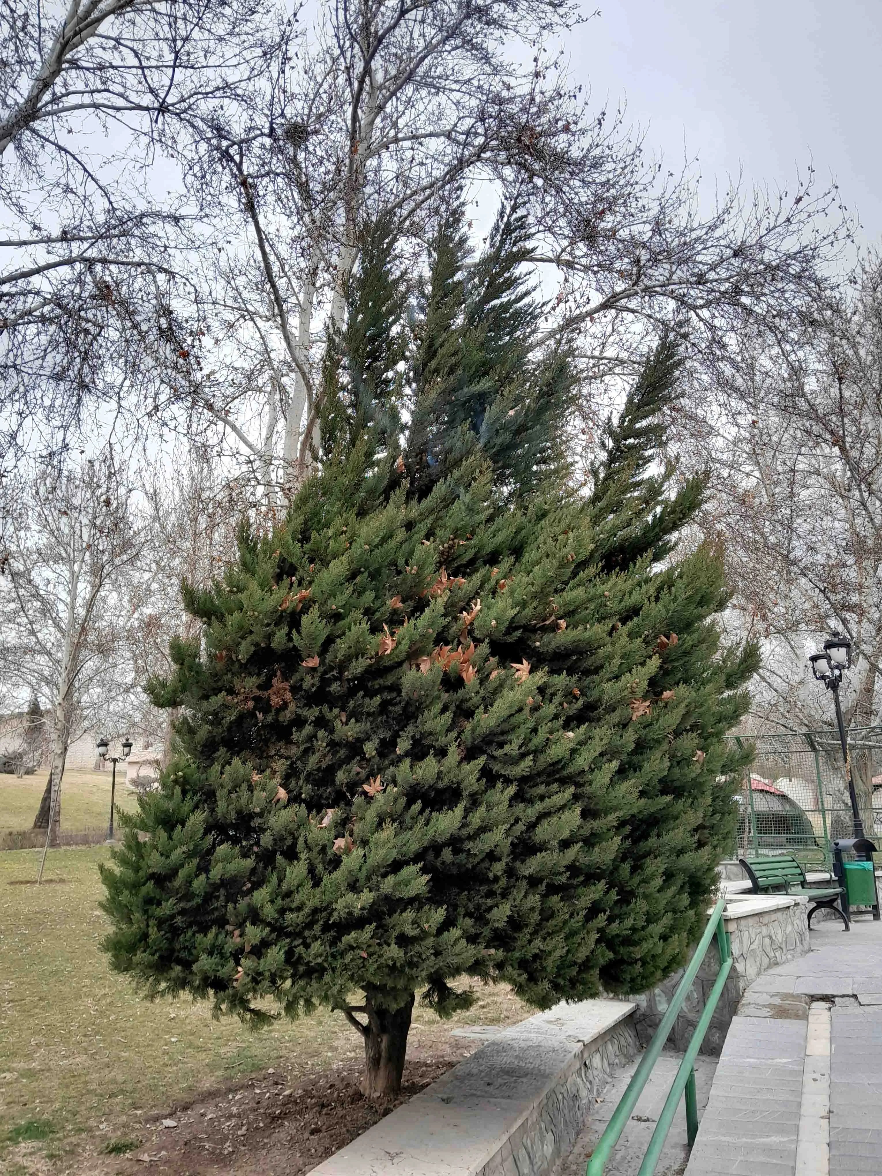 تصویر 2 سامسونگ copy.jpg