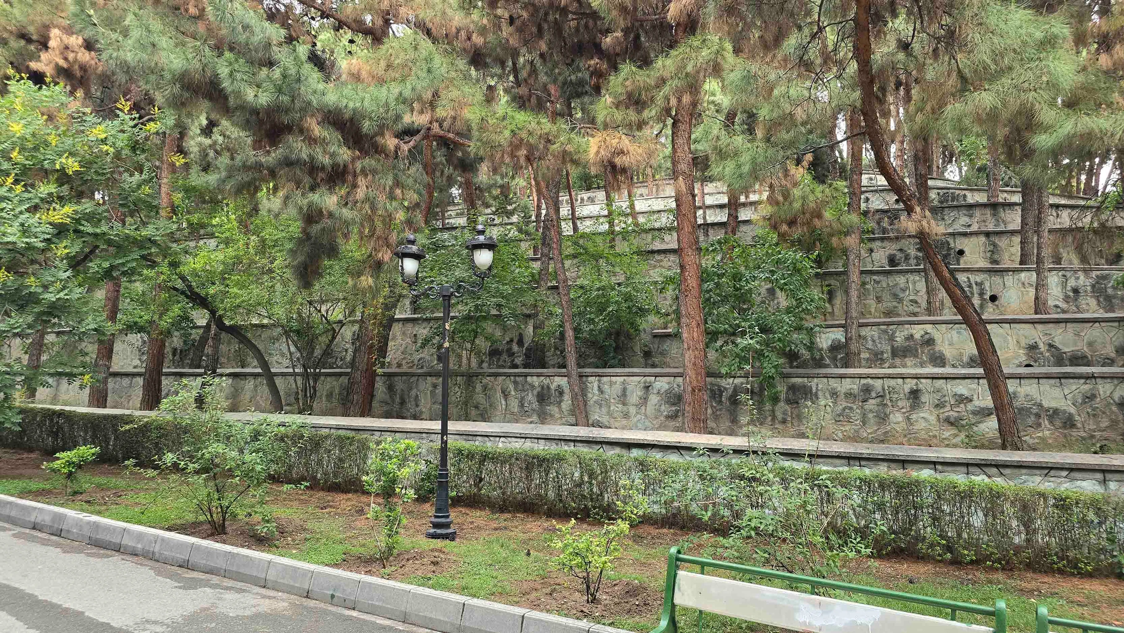 samsung day standard copy.jpg